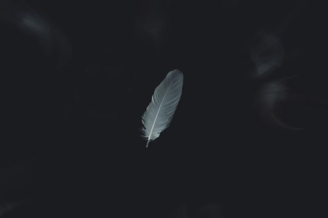 Sahibi olduğun bu əsərin nəticəsinin səbəbi də özünsən.